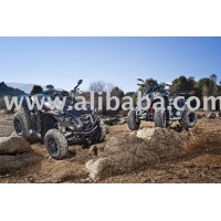 ATV 800 -GOES 800 RS